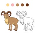 Coloring book (urial)