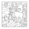 Coloring book (urial), illustration (letter U)