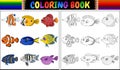 Coloring book various fishes