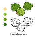 Coloring book, vegetables, Brussels sprouts