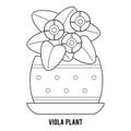 Coloring book, Viola plant