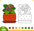 Coloring book, Viola plant