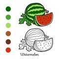 Coloring book, Watermelon