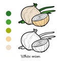 Coloring book, White onion