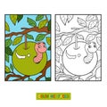 Coloring book, Worm in apple