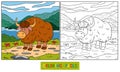 Coloring book (yak) Royalty Free Stock Photo