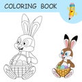 Coloring book with young Easter Hare sitting and holding basket with Colorless and color samples of cartoon Rabbit or Bunny.