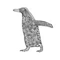 Coloring book zentangle stylized cute penguin bird on an isolated white background. Royalty Free Stock Photo