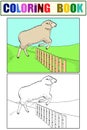 Coloring for children and color, the sheep jumps over the fence. Training animals on the farm. Raster