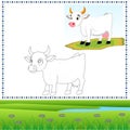 Coloring cow