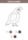 Coloring cute cartoon quail by numbers. Math game.