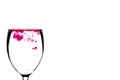 Coloring diffuse in water inside wine glass Royalty Free Stock Photo