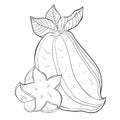 Exotic tropical fruit star carambola. vector illustration Royalty Free Stock Photo