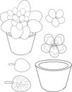 Coloring with flower in pot