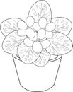 Coloring with flower in pot