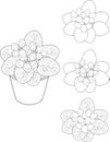 Coloring with flower in pot