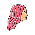 coloring hair color icon vector illustration