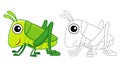 Coloring Insect for children coloring book. Funny grasshopper in a cartoon style. Trace the dots and color the picture