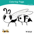 Coloring insects worksheet page. Educational printable coloring worksheet