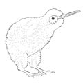 Coloring the kiwi bird is cute. vector illustration Royalty Free Stock Photo