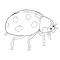 Coloring is ladybug insect nature. vector illustration