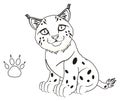 Coloring lynx and footprint Royalty Free Stock Photo