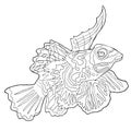 Coloring Mandarin fish is Chinese perch. vector illustration