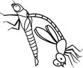 Coloring page. Adult Dragonfly in early molting stage