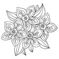 Adult coloring book,page a plant with flowers,line art style illustration.