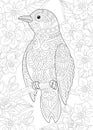 Coloring page with bird in the garden Royalty Free Stock Photo