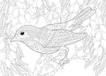 Coloring page with bird in the garden Royalty Free Stock Photo