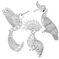 Coloring page with Bird Rhinoceros, Hummingbird and exotic bird, zentangle illustartion for adult Coloring books or tattoos with