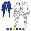 Coloring page birds. A pair of cute parrots blue macaw sits and smiles