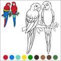 Coloring page birds. A pair of cute parrots red macaw sits and smiles