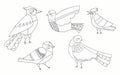 Coloring page with birds set Royalty Free Stock Photo