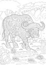 Zentangle bull buffalo bison Royalty Free Stock Photo