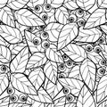 Coloring page book with decorative ornamental abstract berry elements black and white