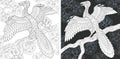 Coloring pages with Archeopteryx Royalty Free Stock Photo