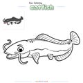 Coloring Page Catfish Royalty Free Stock Photo