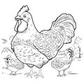 COLORING PAGE chicken with chicks. hen laying hen cute funny character linear illustration childrens for coloring.Bird farm Royalty Free Stock Photo