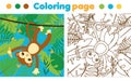 Coloring page for children. Monkey in jungle. Drawing kids activity. Printable toddlers fun