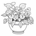 Coloring Page For Children: Pothos Plant In Cartoon Style