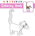 Coloring page Coati animal cartoon character vector illustration