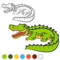 Coloring page. Color me: alligator. Little cute alligator.