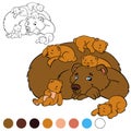 Coloring page. Color me: bear. Daddy bear with his baby bears.