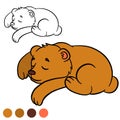 Coloring page. Color me: bear. Little cute baby bear.