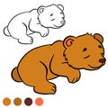 Coloring page. Color me: bear. Little cute baby bear.