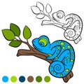 Coloring page. Color me: chameleon. Little cute chameleon sleeps