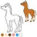 Coloring page. Color me: horse. Little cute foal.