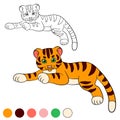 Coloring page. Color me: tiger. Little cute baby tiger